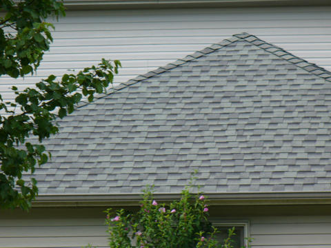 Black Architectual Shingles