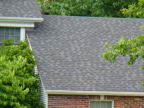 Architectural Shingles